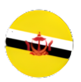 Flag of Brunei